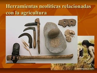 Herramientas neolíticas relacionadas
con la agricultura
 