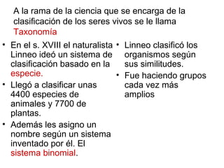 A la rama de la ciencia que se encarga de la
clasificación de los seres vivos se le llama
Taxonomía
• En el s. XVIII el naturalista
Linneo ideó un sistema de
clasificación basado en la
especie.
• Llegó a clasificar unas
4400 especies de
animales y 7700 de
plantas.
• Además les asigno un
nombre según un sistema
inventado por él. El
sistema binomial.
• Linneo clasificó los
organismos según
sus similitudes.
• Fue haciendo grupos
cada vez más
amplios
 