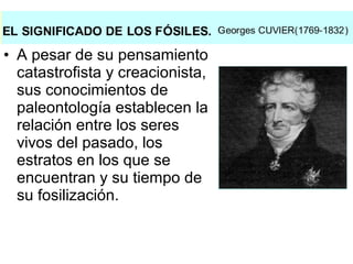 • A pesar de su pensamiento
catastrofista y creacionista,
sus conocimientos de
paleontología establecen la
relación entre los seres
vivos del pasado, los
estratos en los que se
encuentran y su tiempo de
su fosilización.
 