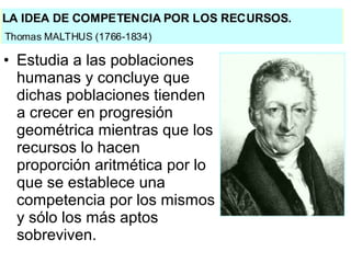 • Estudia a las poblaciones
humanas y concluye que
dichas poblaciones tienden
a crecer en progresión
geométrica mientras que los
recursos lo hacen
proporción aritmética por lo
que se establece una
competencia por los mismos
y sólo los más aptos
sobreviven.
 