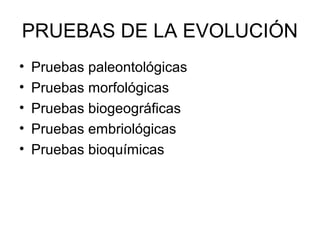 PRUEBAS DE LA EVOLUCIÓN
• Pruebas paleontológicas
• Pruebas morfológicas
• Pruebas biogeográficas
• Pruebas embriológicas
• Pruebas bioquímicas
 