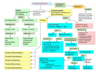LA BIODIVERSIDADLA BIODIVERSIDAD
EvolucionistasEvolucionistas
(las especies cambian a lo
largo del tiempo)
EvolucionistasEvolucionistas
(las especies cambian a lo
largo del tiempo)
especiesespecies
Conjunto de individuos
semejantes que pueden
reproducirse entre sí y
originan descendientes
fértiles
Conjunto de individuos
semejantes que pueden
reproducirse entre sí y
originan descendientes
fértiles
Linneo s. XVIIILinneo s. XVIII Cuvier s. XVIII-XIXCuvier s. XVIII-XIX
Sistemática
y la
Nomenclatura
binomial
Sistemática
y la
Nomenclatura
binomial
Paleontología
(Ciencia que
estudia los
fósiles)
Paleontología
(Ciencia que
estudia los
fósiles)
PruebasPruebas
DARWINISMODARWINISMO
( Darwin y Wallace s. XIX)
DARWINISMODARWINISMO
( Darwin y Wallace s. XIX)
ClásicoClásico NeodarwinismoNeodarwinismo
- La variabilidad inicial de la
descendencia
- La naturaleza es prolifera
- LA SELECCIÓN NATURAL
- El tiempo lleva al cambio
gradual ⇒ adaptación
- La variabilidad inicial de la
descendencia
- La naturaleza es prolifera
- LA SELECCIÓN NATURAL
- El tiempo lleva al cambio
gradual ⇒ adaptación
La GenéticaLa Genética
El origen de la
variabilidad
El origen de la
variabilidad
La EspeciaciónLa Especiación
Geográfico
No geográfico
Geográfico
No geográfico
Mutaciones
Reproducción sexual:
a)Meiosis:
- recombinación
- Segregación cromosómica
b) Fecundación
Mutaciones
Reproducción sexual:
a)Meiosis:
- recombinación
- Segregación cromosómica
b) Fecundación
Pruebas PaleontológicasPruebas Paleontológicas
Pruebas EmbriológicasPruebas Embriológicas
Pruebas AnatómicasPruebas Anatómicas
Pruebas BioquímicasPruebas Bioquímicas
Pruebas BiogeográficasPruebas Biogeográficas
Constituye el
conjunto de
concepto
como
El catastrofismoEl catastrofismoEl creacionismoEl creacionismo
FijistasFijistas
(las especies son
inmutables)
FijistasFijistas
(las especies son
inmutables)
Defendida por
Padre de la Padre de la
como
Tipos
Se basa en Admite Se fundamenta en
el conocimiento de
-Tendencia a la
complejidad
- Ley del uso y desuso
- Heredabilidad de los
caracteres adquiridos
-Cambio ambiental⇒
modificaciones
-Tendencia a la
complejidad
- Ley del uso y desuso
- Heredabilidad de los
caracteres adquiridos
-Cambio ambiental⇒
modificaciones
Que explica
por
por
Se basa en
LAMARCKISMOLAMARCKISMO
Lamarck s. XVIII-XIX
LAMARCKISMOLAMARCKISMO
Lamarck s. XVIII-XIX
Defendida por
Su origen se explica
por diversas
teorías como
De tipo
Gradualista
Saltacionista
Gradualista
Saltacionista
Interpretada
según las
corrientes
Aislamiento
reproductivo
Aislamiento
reproductivo
 