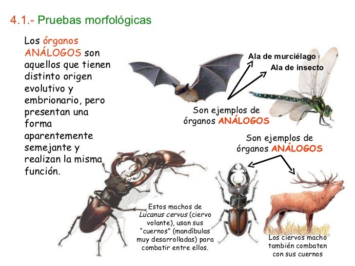 Imagen relacionada