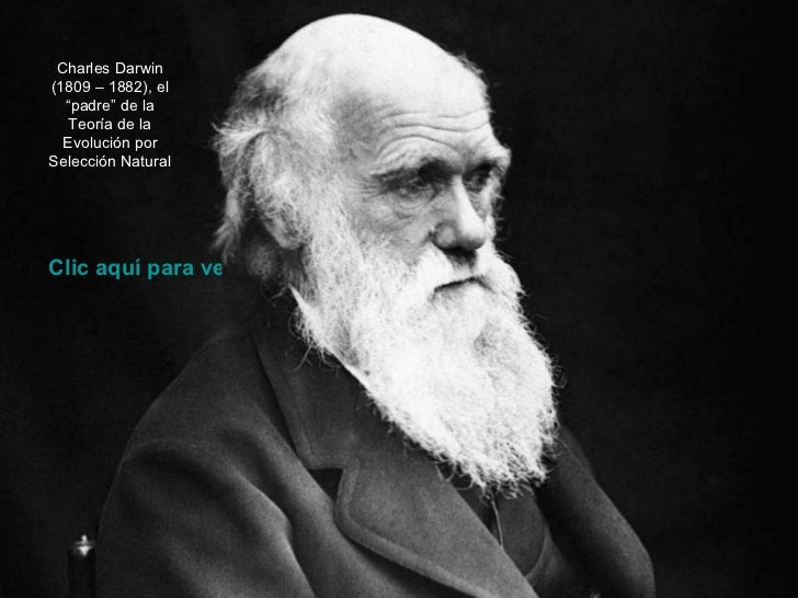 Descubre la historia del padre de la teoría de la evolución: Charles Darwin Padre de la teoria de la evolucion