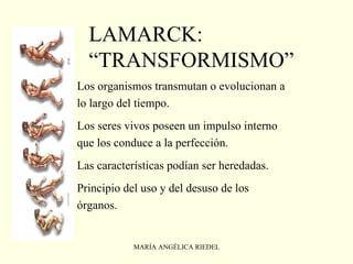 Evolución | PPT