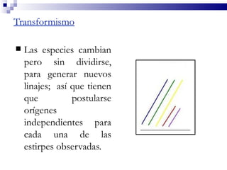 Transformismo

   Las especies cambian
    pero sin dividirse,
    para generar nuevos
    linajes; así que tienen
    que          postularse
    orígenes
    independientes para
    cada una de las
    estirpes observadas.
 
