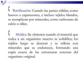 Petrificación: Cuando las partes sólidas, como
huesos o caparazones, e incluso tejidos blandos,
se reemplazan por minerales, como carbonato de
calcio o sílice.

      Moldes: Se obtienen cuando el material que
rodea a un organismo muerto se solidifica; los
tejidos luego se desecan y se rellena con
minerales que se endurecen, formando una
copia exacta de las estructuras externas del
organismo original.
 