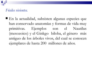 Fósiles vivientes.
   En la actualidad, subsisten algunas especies que
    han conservado anatomías y formas de vida muy
    primitivas. Ejemplos son el Nautilus
    (mesozoico) y el Ginkgo biloba, el género más
    antiguo de los árboles vivos, del cual se conocen
    ejemplares de hasta 200 millones de años.
 