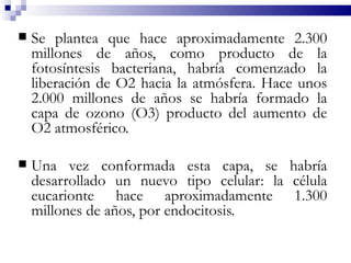    Se plantea que hace aproximadamente 2.300
    millones de años, como producto de la
    fotosíntesis bacteriana, habría comenzado la
    liberación de O2 hacia la atmósfera. Hace unos
    2.000 millones de años se habría formado la
    capa de ozono (O3) producto del aumento de
    O2 atmosférico.

   Una vez conformada esta capa, se habría
    desarrollado un nuevo tipo celular: la célula
    eucarionte hace aproximadamente 1.300
    millones de años, por endocitosis.
 