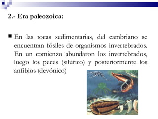 2.- Era paleozoica:

   En las rocas sedimentarias, del cambriano se
    encuentran fósiles de organismos invertebrados.
    En un comienzo abundaron los invertebrados,
    luego los peces (silúrico) y posteriormente los
    anfibios (devónico)
 