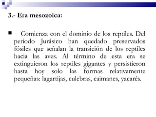 3.- Era mesozoica:

     Comienza con el dominio de los reptiles. Del
    periodo Jurásico han quedado preservados
    fósiles que señalan la transición de los reptiles
    hacia las aves. Al término de esta era se
    extinguieron los reptiles gigantes y persistieron
    hasta hoy solo las formas relativamente
    pequeñas: lagartijas, culebras, caimanes, yacarés.
 