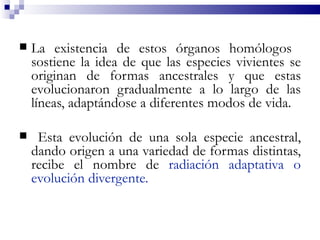    La existencia de estos órganos homólogos
    sostiene la idea de que las especies vivientes se
    originan de formas ancestrales y que estas
    evolucionaron gradualmente a lo largo de las
    líneas, adaptándose a diferentes modos de vida.

    Esta evolución de una sola especie ancestral,
    dando origen a una variedad de formas distintas,
    recibe el nombre de radiación adaptativa o
    evolución divergente.
 