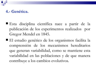 4.- Genética.

 Esta disciplina científica nace a partir de la
  publicación de los experimentos realizados por
  Gregor Mendel en 1845.
 El estudio genético de los organismos facilita la
  comprensión de los mecanismos hereditarios
  que generan variabilidad, como se mantiene esta
  variabilidad en las poblaciones y de que manera
  contribuye a los cambios evolutivos.
 