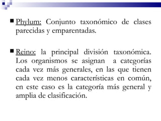  Phylum:  Conjunto taxonómico de clases
 parecidas y emparentadas.

 Reino: la principal división taxonómica.
 Los organismos se asignan a categorías
 cada vez más generales, en las que tienen
 cada vez menos características en común,
 en este caso es la categoría más general y
 amplia de clasificación.
 