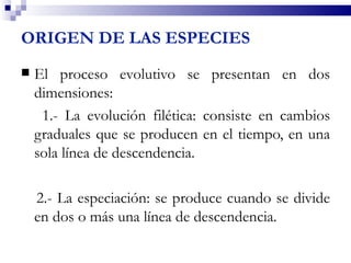 ORIGEN DE LAS ESPECIES
   El proceso evolutivo se presentan en dos
    dimensiones:
     1.- La evolución filética: consiste en cambios
    graduales que se producen en el tiempo, en una
    sola línea de descendencia.

    2.- La especiación: se produce cuando se divide
    en dos o más una línea de descendencia.
 