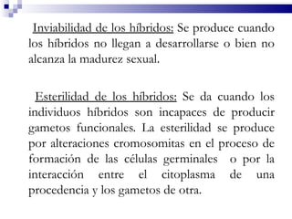 Inviabilidad de los híbridos: Se produce cuando
los híbridos no llegan a desarrollarse o bien no
alcanza la madurez sexual.

  Esterilidad de los híbridos: Se da cuando los
individuos híbridos son incapaces de producir
gametos funcionales. La esterilidad se produce
por alteraciones cromosomitas en el proceso de
formación de las células germinales o por la
interacción entre el citoplasma de una
procedencia y los gametos de otra.
 