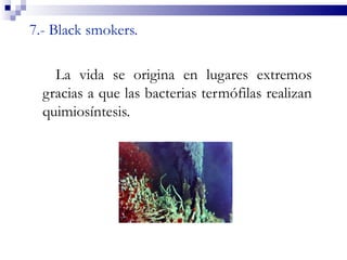 7.- Black smokers.

    La vida se origina en lugares extremos
  gracias a que las bacterias termófilas realizan
  quimiosíntesis.
 