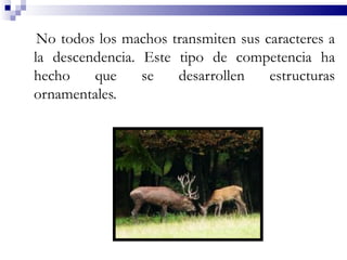 No todos los machos transmiten sus caracteres a
la descendencia. Este tipo de competencia ha
hecho    que     se   desarrollen    estructuras
ornamentales.
 
