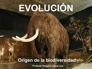EVOLUCIÓN




Origen de la biodiversidad
      Profesor Rogelio López Lira
 