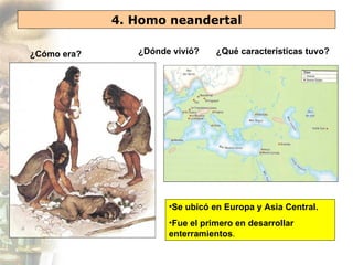 4. Homo neandertal

¿Cómo era?      ¿Dónde vivió?    ¿Qué características tuvo?




                      •Se ubicó en Europa y Asia Central.
                      •Fue el primero en desarrollar
                      enterramientos.
 