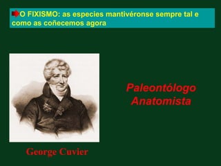 O FIXISMO: as especies mantivéronse sempre tal e
como as coñecemos agora




                              Paleontólogo
                               Anatomista



   George Cuvier
 