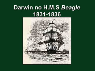 Darwin no H.M.S Beagle
      1831-1836
 