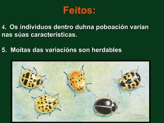 Feitos:
4. Os individuos dentro duhna poboación varían
nas súas características.

5. Moitas das variacións son herdables
 