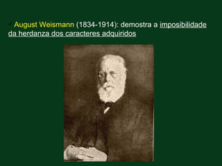  AugustWeismann (1834-1914): demostra a imposibilidade
da herdanza dos caracteres adquiridos
 
