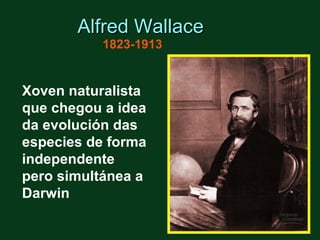 Alfred Wallace
           1823-1913


Xoven naturalista
que chegou a idea
da evolución das
especies de forma
independente
pero simultánea a
Darwin
 