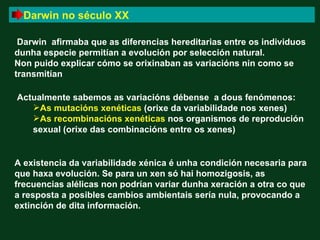 Darwin no século XX

 Darwin afirmaba que as diferencias hereditarias entre os individuos
dunha especie permitían a evolución por selección natural.
Non puido explicar cómo se orixinaban as variacións nin como se
transmitían

Actualmente sabemos as variacións débense a dous fenómenos:
   As mutacións xenéticas (orixe da variabilidade nos xenes)
   As recombinacións xenéticas nos organismos de reprodución
   sexual (orixe das combinacións entre os xenes)


A existencia da variabilidade xénica é unha condición necesaria para
que haxa evolución. Se para un xen só hai homozigosis, as
frecuencias alélicas non podrían variar dunha xeración a otra co que
a resposta a posibles cambios ambientais sería nula, provocando a
extinción de dita información.
 