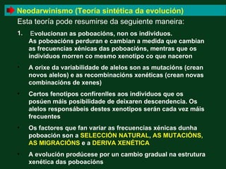 Neodarwinismo (Teoría sintética da evolución)
Esta teoría pode resumirse da seguiente maneira:
1.
•     Evolucionan as poboacións, non os individuos.
     As poboacións perduran e cambian a medida que cambian
     as frecuencias xénicas das poboacións, mentras que os
     individuos morren co mesmo xenotipo co que naceron
•    A orixe da variabilidade de alelos son as mutacións (crean
     novos alelos) e as recombinacións xenéticas (crean novas
     combinacións de xenes)
•    Certos fenotipos confírenlles aos individuos que os
     posúen máis posibilidade de deixaren descendencia. Os
     alelos responsábeis destes xenotipos serán cada vez máis
     frecuentes
•    Os factores que fan variar as frecuencias xénicas dunha
     poboación son a SELECCIÓN NATURAL, AS MUTACIÓNS,
     AS MIGRACIÓNS e a DERIVA XENÉTICA
•    A evolución prodúcese por un cambio gradual na estrutura
     xenética das poboacións
 