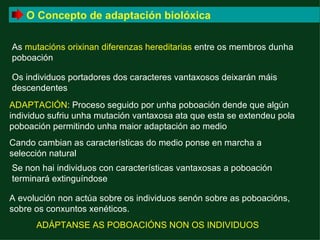 O Concepto de adaptación biolóxica

As mutacións orixinan diferenzas hereditarias entre os membros dunha
poboación

Os individuos portadores dos caracteres vantaxosos deixarán máis
descendentes
ADAPTACIÓN: Proceso seguido por unha poboación dende que algún
individuo sufriu unha mutación vantaxosa ata que esta se extendeu pola
poboación permitindo unha maior adaptación ao medio
Cando cambian as características do medio ponse en marcha a
selección natural
Se non hai individuos con características vantaxosas a poboación
terminará extinguíndose

A evolución non actúa sobre os individuos senón sobre as poboacións,
sobre os conxuntos xenéticos.
      ADÁPTANSE AS POBOACIÓNS NON OS INDIVIDUOS
 
