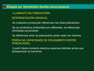 Etapas na formación dunha nova especie
•   ILLAMANTO DE POBOACIÓNS
•   DIFERENCIACIÓN GRADUAL
    As mutacións producirán diferenzas nas dúas poboacións
    Se as condicións ambientais son diferentes, as diferenzas
    orixinadas aumentarán
    As diferenzas entre as poboacións serán cada vez maiores
6. PERDA DA CAPACIDADE DE CRUZAMENTO ENTRE
   POBOACIÓNS.
    A partir deste momento teremos especies distintas aínda que
    desaparezan as barreiras
 