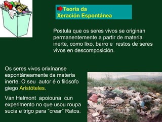 Teoría da
                      Xeración Espontánea

                     Postula que os seres vivos se originan
                     permanentemente a partir de materia
                     inerte, como lixo, barro e restos de seres
                     vivos en descomposición.


Os seres vivos orixínanse
espontáneamente da materia
inerte. O seu autor é o filósofo
giego Aristóteles.
Van Helmont apoiouna cun
experimento no que usou roupa
sucia e trigo para “crear” Ratos.
 