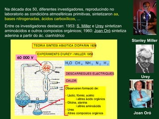 Na década dos 50, diferentes investigadores, reproducindo no
laboratorio as condicións atmosféricas primitivas, sintetizaron aa,
bases nitrogenadas, ácidos carboxílicos, ...
Entre os investigadores destacan: 1953: S. Miller e Urey sintetizan
aminoácidos e outros compostos orgánicos; 1960: Joan Oró sintetiza
adenina a partir do ác. cianhídrico
                                                                      Stanley Miller



       60 000 V




                                                                           Urey




                                                                       Joan Oró
 