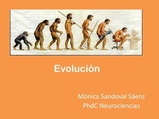 Evolución 
Mónica Sandoval Sáenz 
PhdC Neurociencias 
 