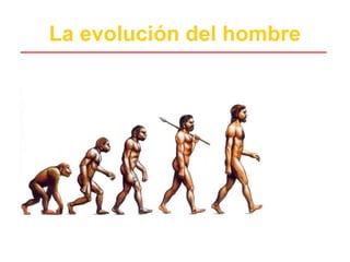 La evolución del hombre
 