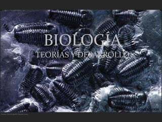 BIOLOGÍA
                                    TEORÍAS Y DESARROLLO




                                                     TRILOBITES FOSILIZADOS
Fuente: Enciclopedia Encarta 2009
 