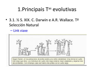 1.Principais T evolutivas
                          as


• 3.1. ½ S. XIX. C. Darwin e A.R. Wallace. Tª
  Selección Natural
  – Link viaxe
 