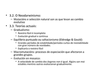 • 3.2. O Neodarwinismo:
   – Mutacións e selección natural son as que levan ao cambio
     evolutivo
• 3.3. Teorías actuais:
   – Gradualismo:
       • Rexistro fósil é incompleto
       • Evolución gradual e continua
   – Equilibrio puntuado ou saltacionismo (Eldredge & Gould):
       • Grandes períodos de estabilidade/períodos curtos de inestabilidade
         con gran número de novidades.
       • Explicaría o rexistro fósil
   – Macromutacións: procesos de especiación que afectaron a
     grandes grupos.
   – Evolución en mosaico:
       • A velocidade de cambio dos órganos non é igual. Algúns son moi
         estables mentres outros evolucionan gradualmente.
 