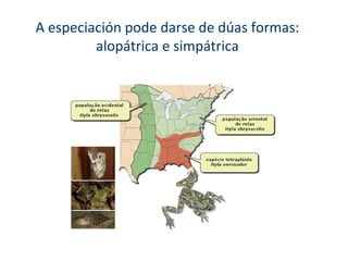 A especiación pode darse de dúas formas:
         alopátrica e simpátrica
 