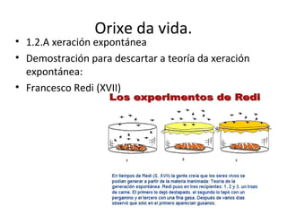 Orixe da vida.
• 1.2.A xeración expontánea
• Demostración para descartar a teoría da xeración
  expontánea:
• Francesco Redi (XVII)
 