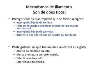 Mecanismos de illamento.
                 Son de dous tipos:
• Precigóticos: os que impiden que se forme o cigoto:
   – Incompatibilidade de xenitais
   – Falta de resposta a chamada sexual(ineficiencia de
     feromonas)
   – Incompatibilidade de gametos
   – Illamento por diferencias de hábitat ou conducta



• Postcigóticos: os que fan inviable ou estéril ao cigoto.
   –   Aborto do embrión ou feto.
   –   Morte prematura do recén nacido.
   –   Esterilidade do adulto.
   –   Esterilidade do híbrido.
 