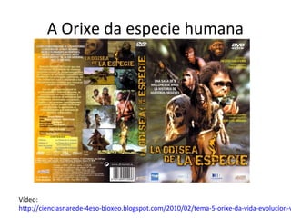 A Orixe da especie humana




Vídeo:
http://cienciasnarede-4eso-bioxeo.blogspot.com/2010/02/tema-5-orixe-da-vida-evolucion-v
 