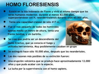 HOMO FLORESIENSIS
● Existió en la isla indonesia de Flores y vivió al mismo tiempo que los
seres humanos modernos durante al menos 82.000 años,
superponiendose con H. neanderthalensis durante unos 60.000 años.
● Tenía una capacidad craneal de sólo 417 cc.
● Fue el más pequeño de todos los homínidos
apenas medía un metro de altura, tenía una
frente huidiza, y sin barbilla.
● Se cree que podría ser un descendiente del
Homo Erectus, que ya conocía el fuego y
utilizaba herramienta. Muy posiblemente cazaban en grupo
● Se extinguió hace sólo 18.000 años, después que los neandertales.
● Las dos razones más posibles de su extinción fueron:
● Una erupción volcánica que se produjo hace aproximadamente 12.000
años y que pudo acabar con la especie.
● La lucha por la supervivencia con el homo sapiens.
 