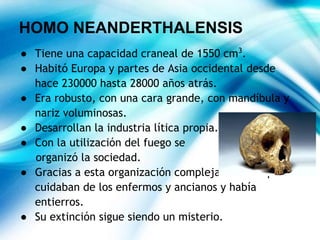 HOMO NEANDERTHALENSIS
● Tiene una capacidad craneal de 1550 cm3
.
● Habitó Europa y partes de Asia occidental desde
hace 230000 hasta 28000 años atrás.
● Era robusto, con una cara grande, con mandíbula y
nariz voluminosas.
● Desarrollan la industria lítica propia.
● Con la utilización del fuego se
organizó la sociedad.
● Gracias a esta organización compleja se sabe que
cuidaban de los enfermos y ancianos y había
entierros.
● Su extinción sigue siendo un misterio.
 
