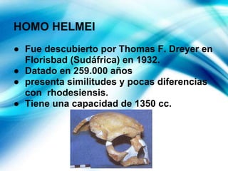 HOMO HELMEI
● Fue descubierto por Thomas F. Dreyer en
Florisbad (Sudáfrica) en 1932.
● Datado en 259.000 años
● presenta similitudes y pocas diferencias
con rhodesiensis.
● Tiene una capacidad de 1350 cc.
 