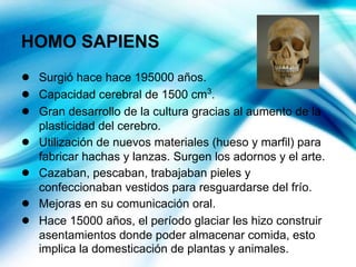 HOMO SAPIENS
● Surgió hace hace 195000 años.
● Capacidad cerebral de 1500 cm3
.
● Gran desarrollo de la cultura gracias al aumento de la
plasticidad del cerebro.
● Utilización de nuevos materiales (hueso y marfil) para
fabricar hachas y lanzas. Surgen los adornos y el arte.
● Cazaban, pescaban, trabajaban pieles y
confeccionaban vestidos para resguardarse del frío.
● Mejoras en su comunicación oral.
● Hace 15000 años, el período glaciar les hizo construir
asentamientos donde poder almacenar comida, esto
implica la domesticación de plantas y animales.
 