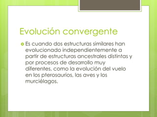 Evolución convergente
 Es cuando dos estructuras similares han
evolucionado independientemente a
partir de estructuras ancestrales distintas y
por procesos de desarrollo muy
diferentes, como la evolución del vuelo
en los pterosaurios, las aves y los
murciélagos.
 