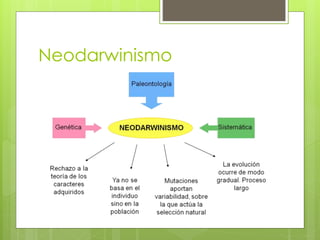 Neodarwinismo
 